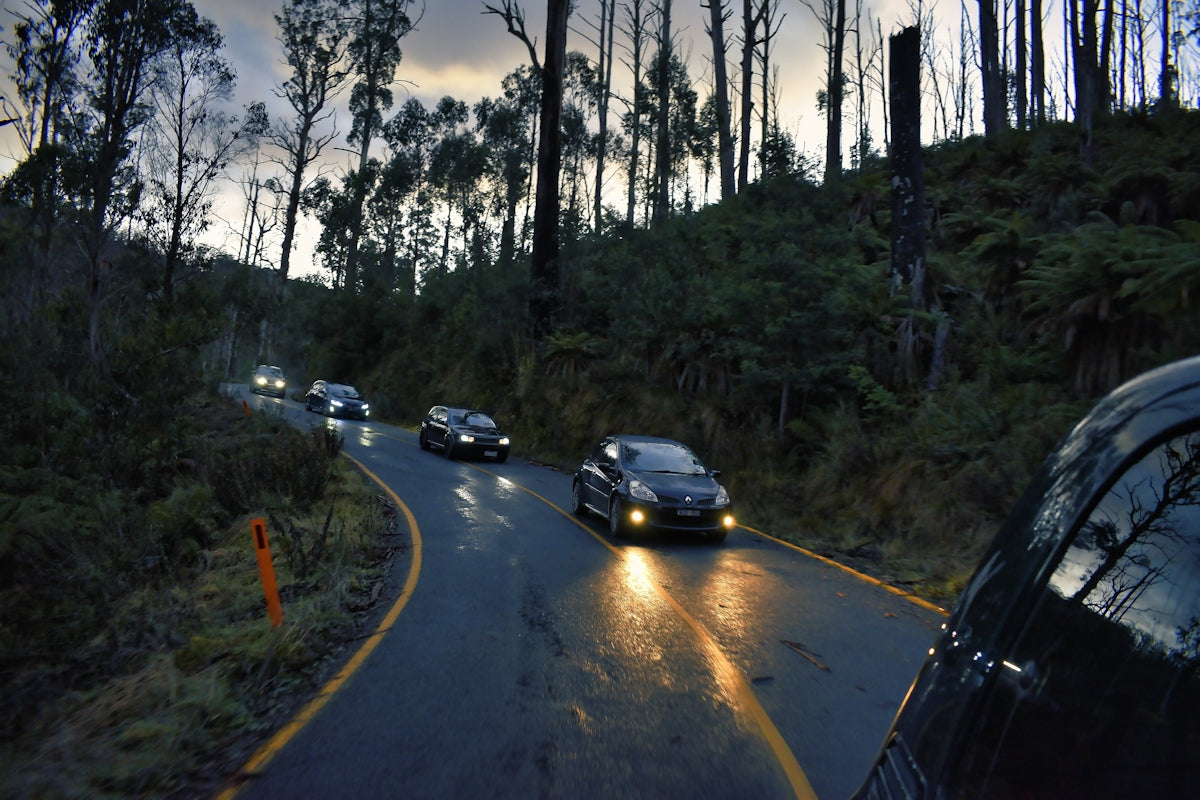 cars on road between trees during daytime