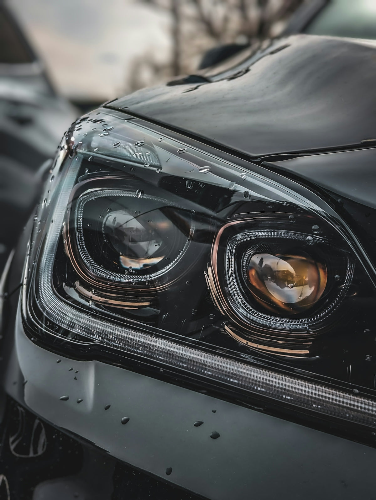 Expert Guide to Genuine OEM BMW 3 Series Reconditioned Headlights: Replacement and Compatibility in Australia - Car Headlight Australia