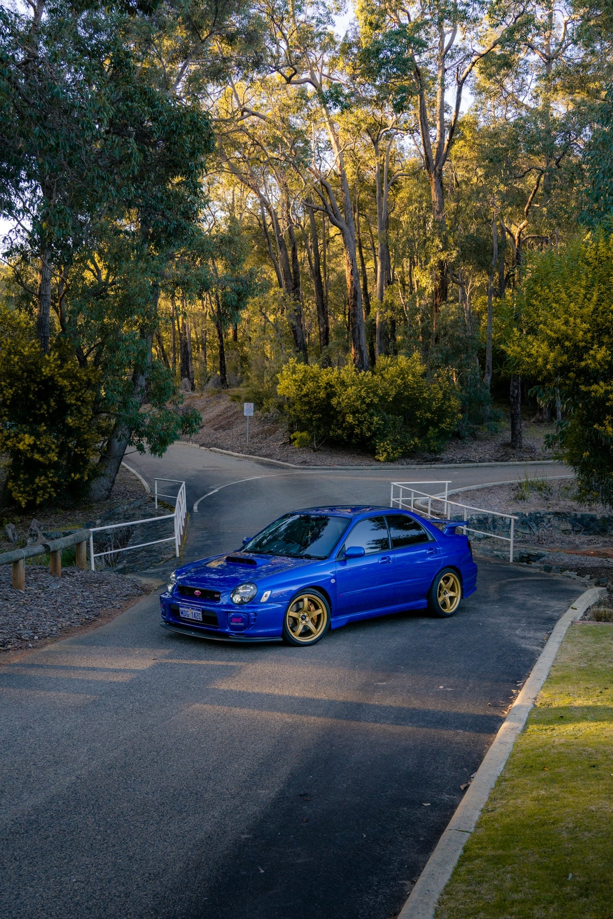 A blue car with gold wheels on a tree-lined road.